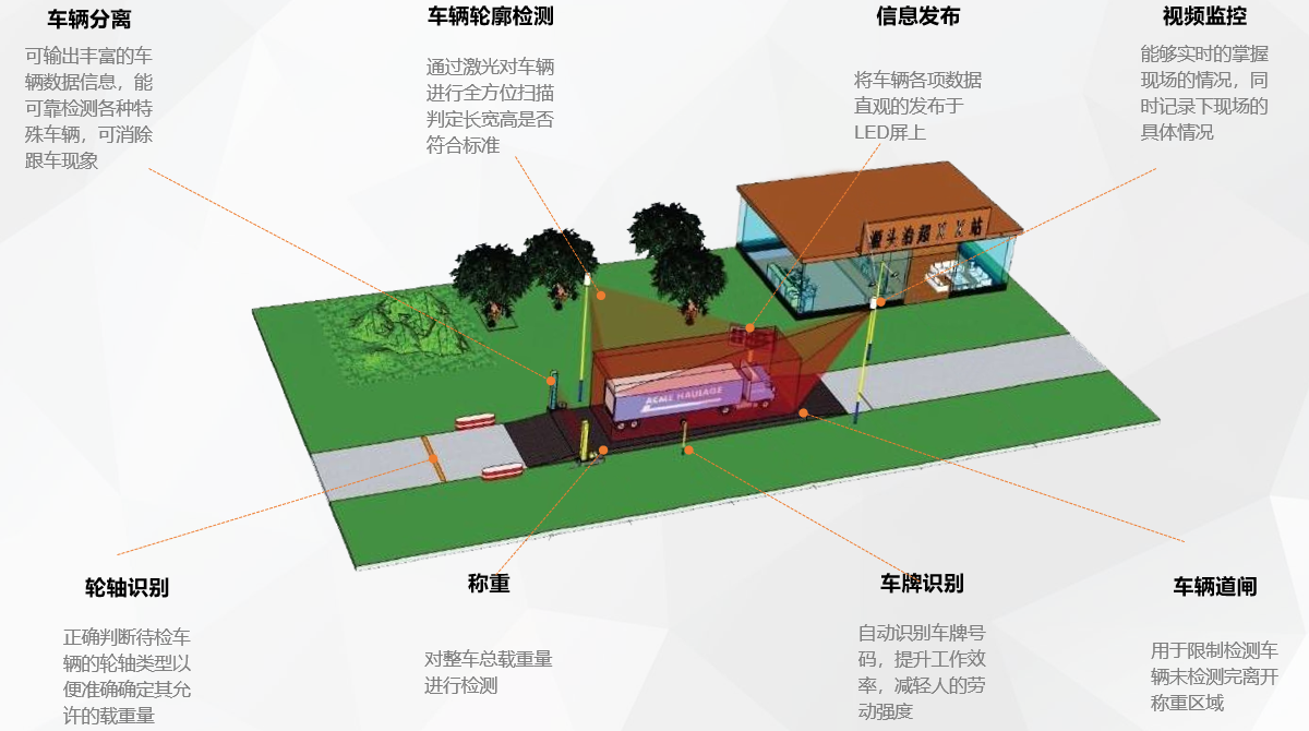 安成治超